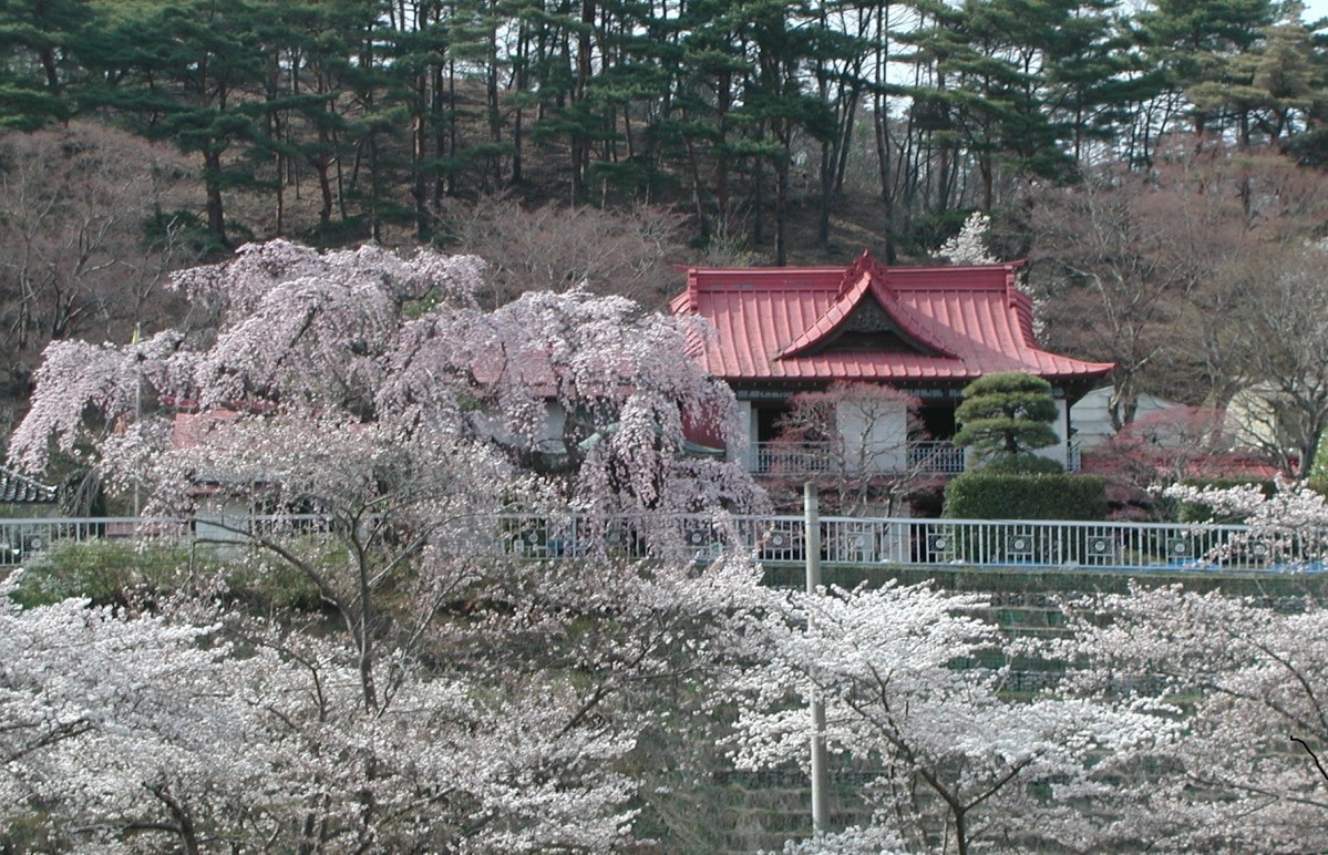 花と歴史の郷 蛇の鼻の桜 例年の見頃 4月中旬 イベントナビ