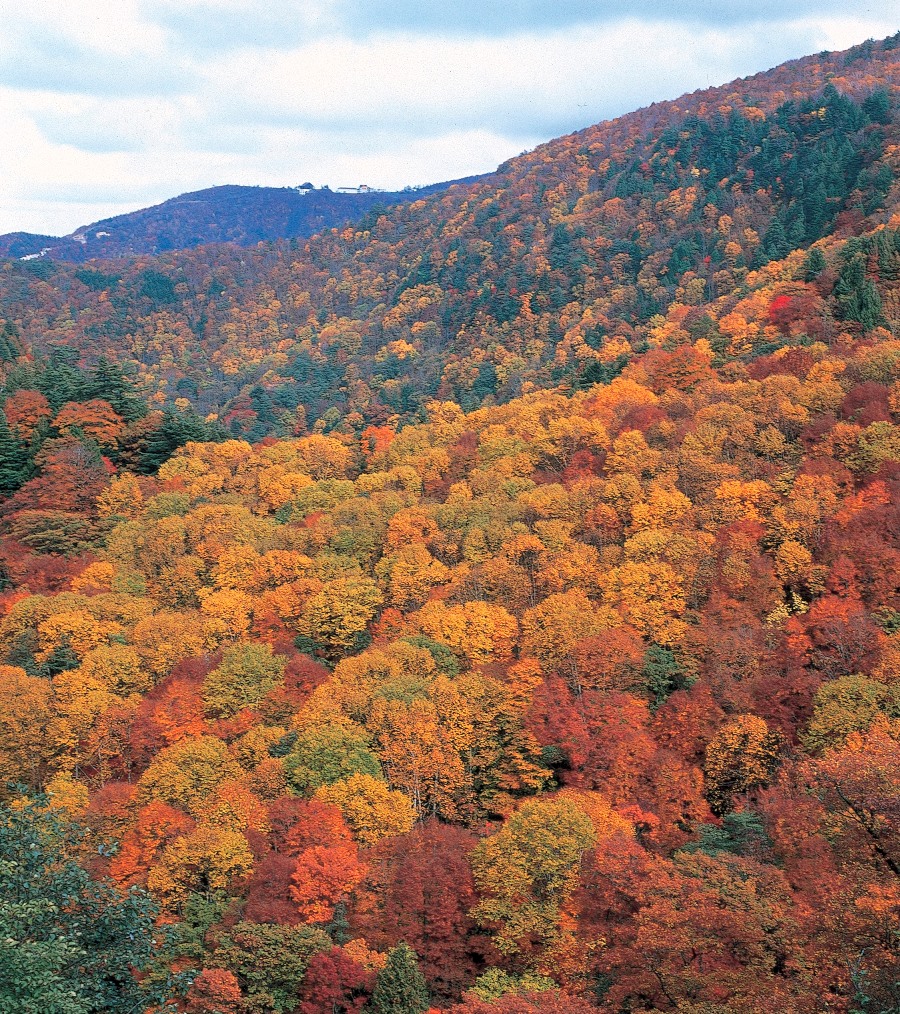 天元台 西吾妻山の紅葉 例年9月下旬 10月下旬 イベントナビ